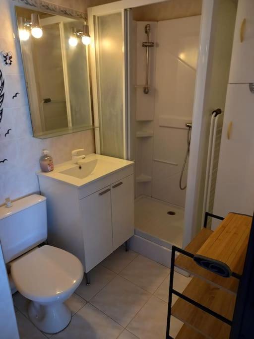 Raisin D'Or, T2, Parking, Piscine Apartman Agde Kültér fotó